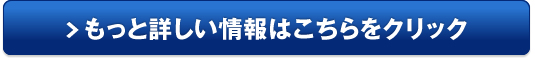 ビューステージベガスプレミアム販売サイトへ